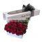 Luxury Large Long flower boxes