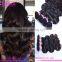 Grade 7a russian virgin hair fast shipping virgin russian hair wholesale loose wave virgin russian hair