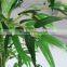 China factory cheap and high quality home decoration wholesale artificial bamboo tree plant