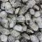 frozen shells meat fresh pacific oyster meat