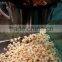 10oz stainless steel 110v/ electric commercial popcorn machine with temperature control