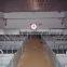 Pig quipment,automatic pig feeding system