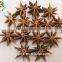 Good Aroma Well Dried Star Aniseeds