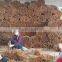 CASSIA FROM VIETNAM ( website: ms.swan2) E: SWAN120488 AT GMAIL dot com