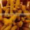 Excellent Grade Of Erode Turmeric Finger from India