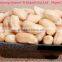 peanut blanched kernels/dry roasted peanuts salted/outdoor food cart