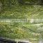 2016 Frozen salted wakame stem cut Other name	Shredded wa Frozen newly 2015