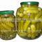 Vietnamese pickled cucumbers in jar & gherkins in brine - Good taste & cheap price!