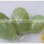 Certified Natural Green Xiuyan Jade Eggs Kegel Eggs Set With Drilled Hole