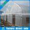 New Style Low Cost Agricultural Multi Span Greenhouse