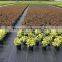 Weed control fabric pp woven weed mat