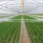 New Type Of Tunnel Greenhouse For Vegetables