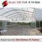 Large Customized tent canopy for sale