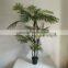 decorative Hawaii kwai artificial kwai tree fake palm tree
