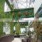 2017 Hot sale SJZWQ-04 outdoor artificial fake green fake wall