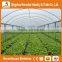 Heracles Trade Assurance low cost agricultural tunnel greenhouses