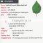 2016 PU big artificial leaves for home decoration artificial green leaves