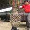 lagerstroemia indica tree different shape downloading