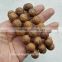 Buddha Chitta 14 Beads Bodhi Seed Genuine Indonesian Phoenix Eye Mala Phrengba