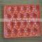 disposable serving plastic fruit PP pear tray