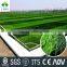 UV-resistant natural mini football field /soccer field artificial grass price