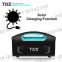 TNE Generator Power Bank UPS with AC DC USB Charger for Emergency Outdoor