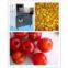 Dates processing line