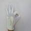 Women's Left Hand Soft Breathable golf glove