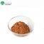 Wholesale Cocoa Ingredients Cacao powder Natural Cocoa powder