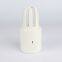 UV Disinfection Lamp for Car UV Sterilization Bacteria Killing
