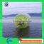 Clear factory direct sale inflatable water walking ball, cheap water roller ball price for adult