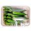 Customized Logo Rectangle Fruit Tray vegetable Dishes Bagasse Sugarcane Molded Fiber Meat Tray