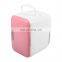 Refrigerator for Car Camping Car Refrigerator 4l Car fridge Portable Mini Refrigerator for Sell