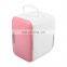 New Design Mini Car Cooler Box Cup Freezer Fridge Portable Refrigerator Electric 4L Cooler Warmer Portable Car Fridge for Travel