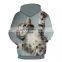 Sublimation Hoodies Sublimation Hoodies OEM 100% Cotton Sudaderas 3D Print Men Unisex Women