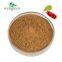Herb Fruit Extract Schisandra Wu Wei Zi Berry Powder Fructus Schisandrae Chinensis P.E.