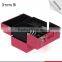 2016 OEM Professional Portable Makeup Display Vanity Case Cosmetic Train Case