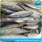 Pacific Seafood Frozen Mackerel 200-300g Fish