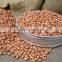 new products organic peanut kernels,blanched peanuts ,raw green peanuts for sale