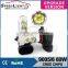 Speedlight Wholesale 60W High Power H8 LED Fog Light Bulb