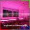 Flex LED Strip with Pink Color SMD2835 LED
