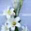 RGB White Lily Flower Printer