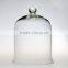 High quality glass cloche for cake/cream/cake/flower