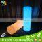 LED Garden Decorative Color Changing Led Mood Lighted LED Garden Light