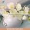 decorative flowers,real touch artificial moth orchid with glue