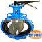 Lever operated wafer type butterfly valve with double half shaft
