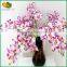Wholesale Orchid Flower for Home Decoration