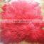 Fashion Long Hair Tibet Lamb Plate Fur Goat Fur Kidassia Fur Plate