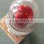 BHZD explosion proof obstruction flashing light