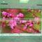 full color indoor tv panel P2 P2.5 P3 P4 P5 P6 led video wall